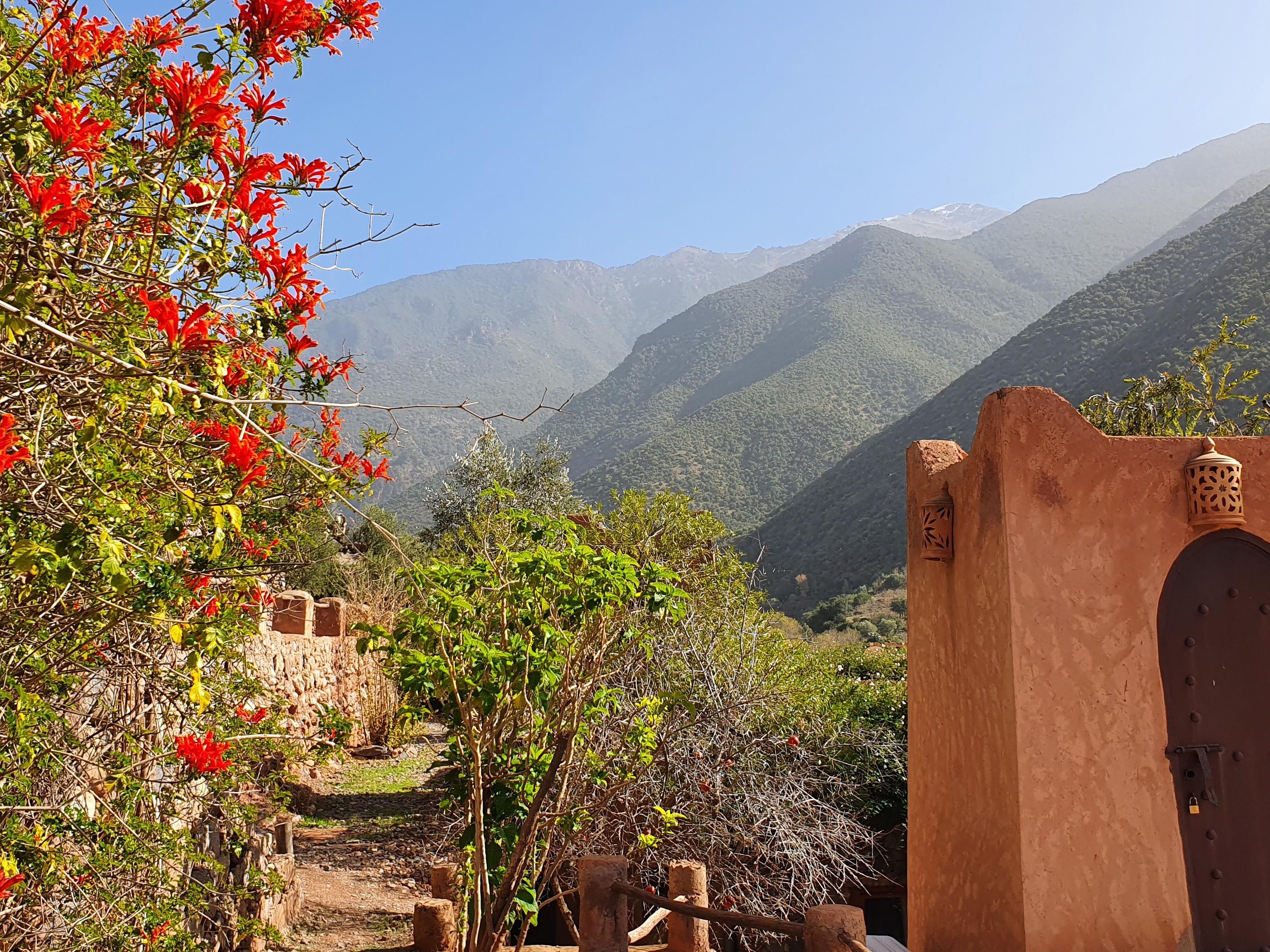 Bed and Breakfast Kasbah Africa Ouirgane Zewnętrze zdjęcie